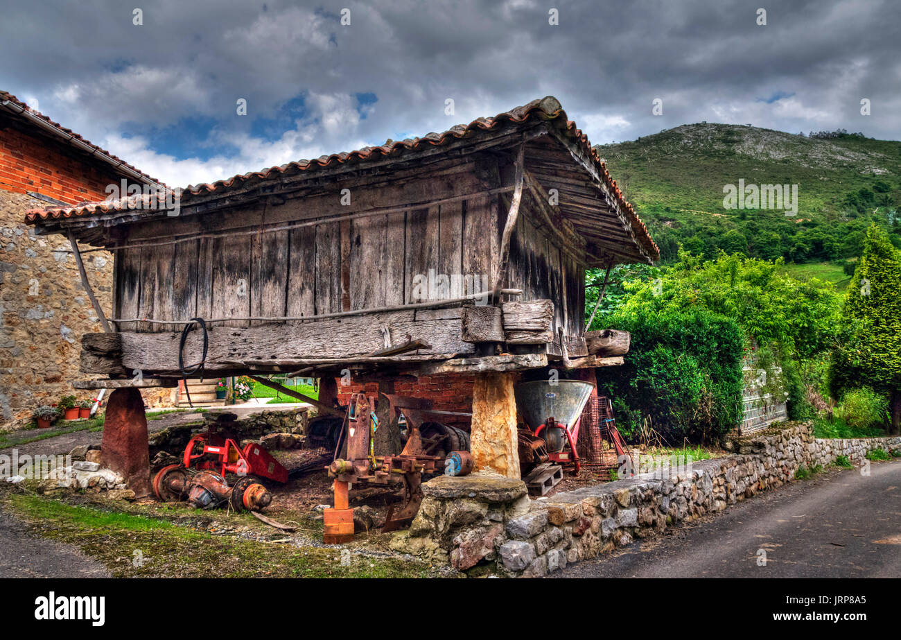 Hórreo de madera. Asturias. España. Foto Stock