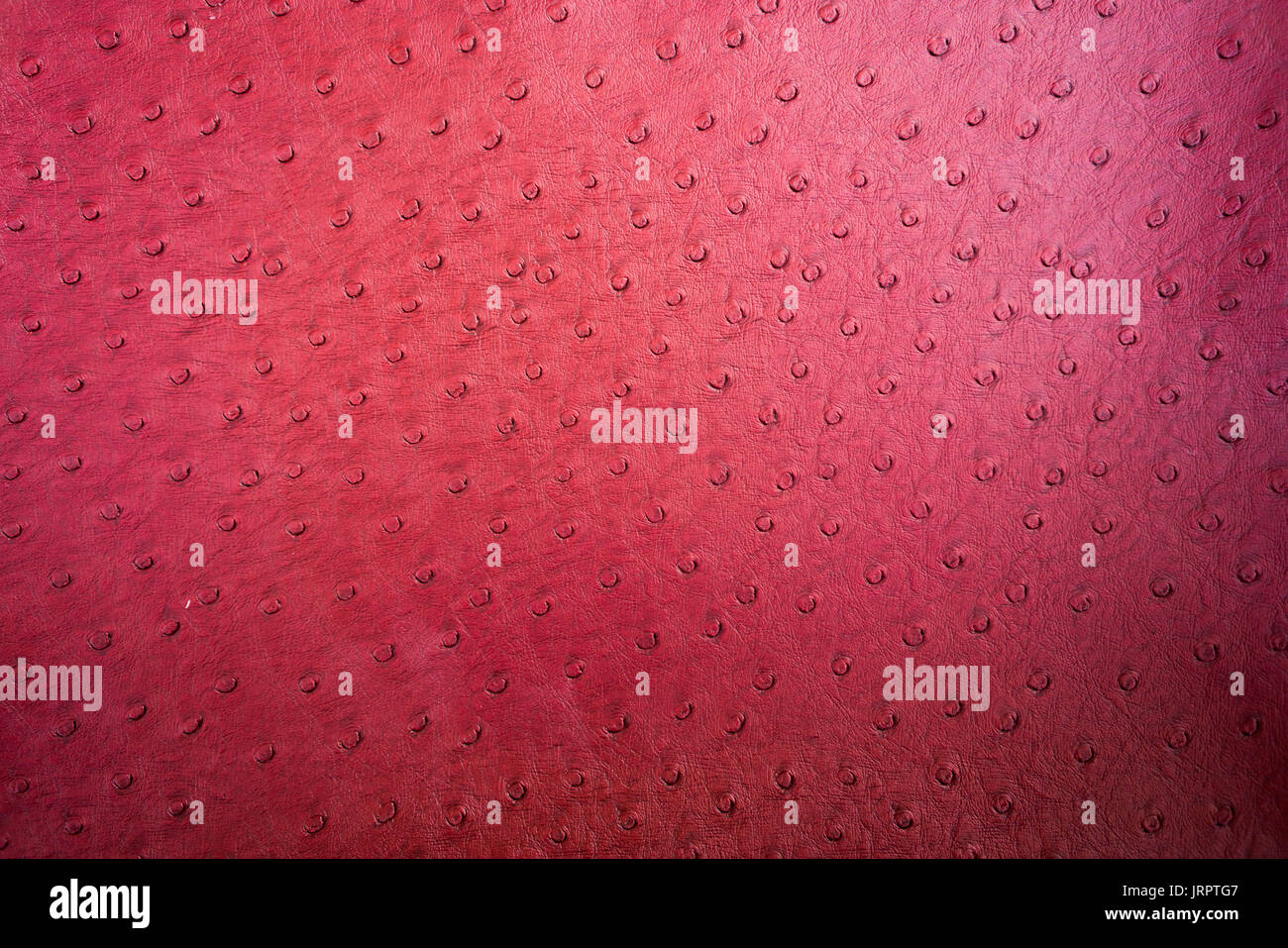 Texture di sfondo di pelle di struzzo close up Foto Stock