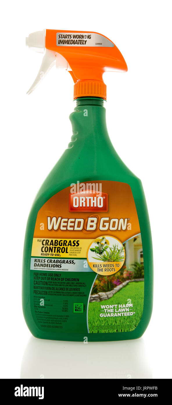 Winneconne, WI - 5 Agosto 2017: una bottiglia di Orto Weed B Gon weed killer isolato su un background. Foto Stock