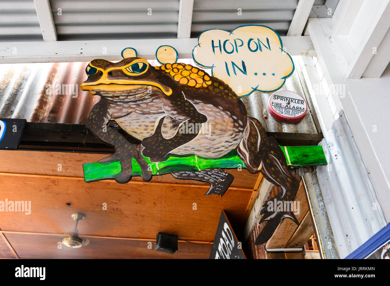 Segno pubblicità Rospo canna Racing al ferro da stiro Bar ristorante, Macrossan Street, Port Douglas, estremo Nord Queensland, FNQ, QLD, Australia Foto Stock