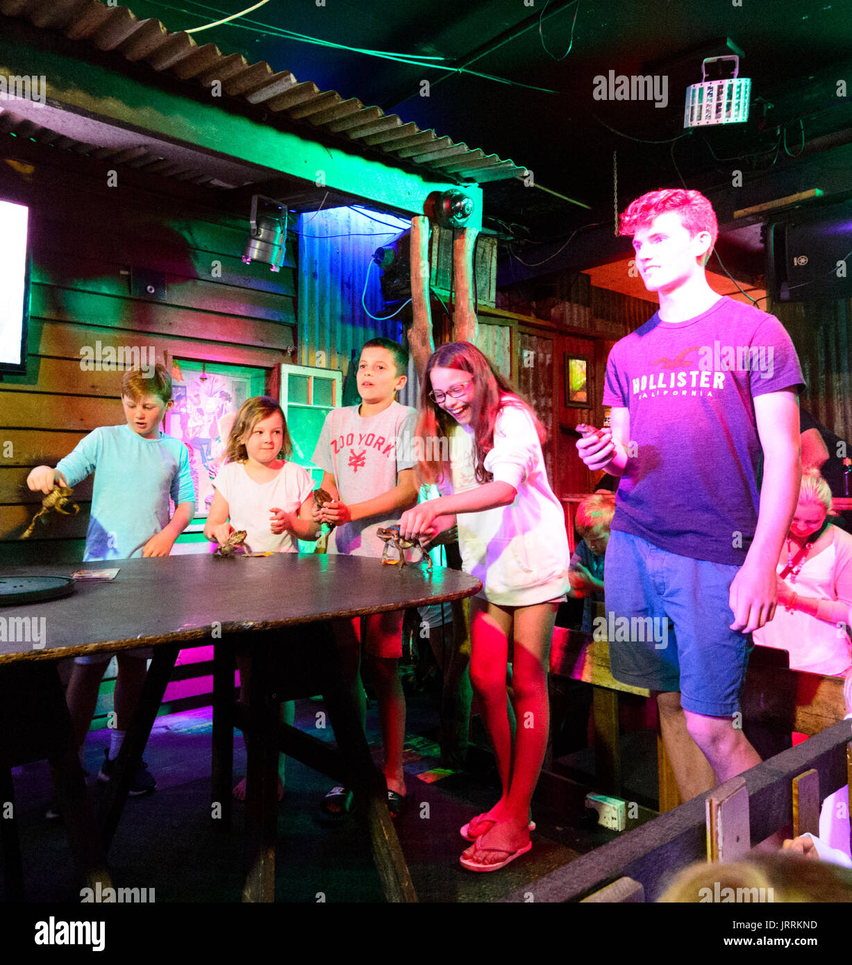 La canna da zucchero Toad Racing serata presso il ferro Bar ristorante, Macrossan Street, Port Douglas, estremo Nord Queensland, FNQ, QLD, Australia Foto Stock