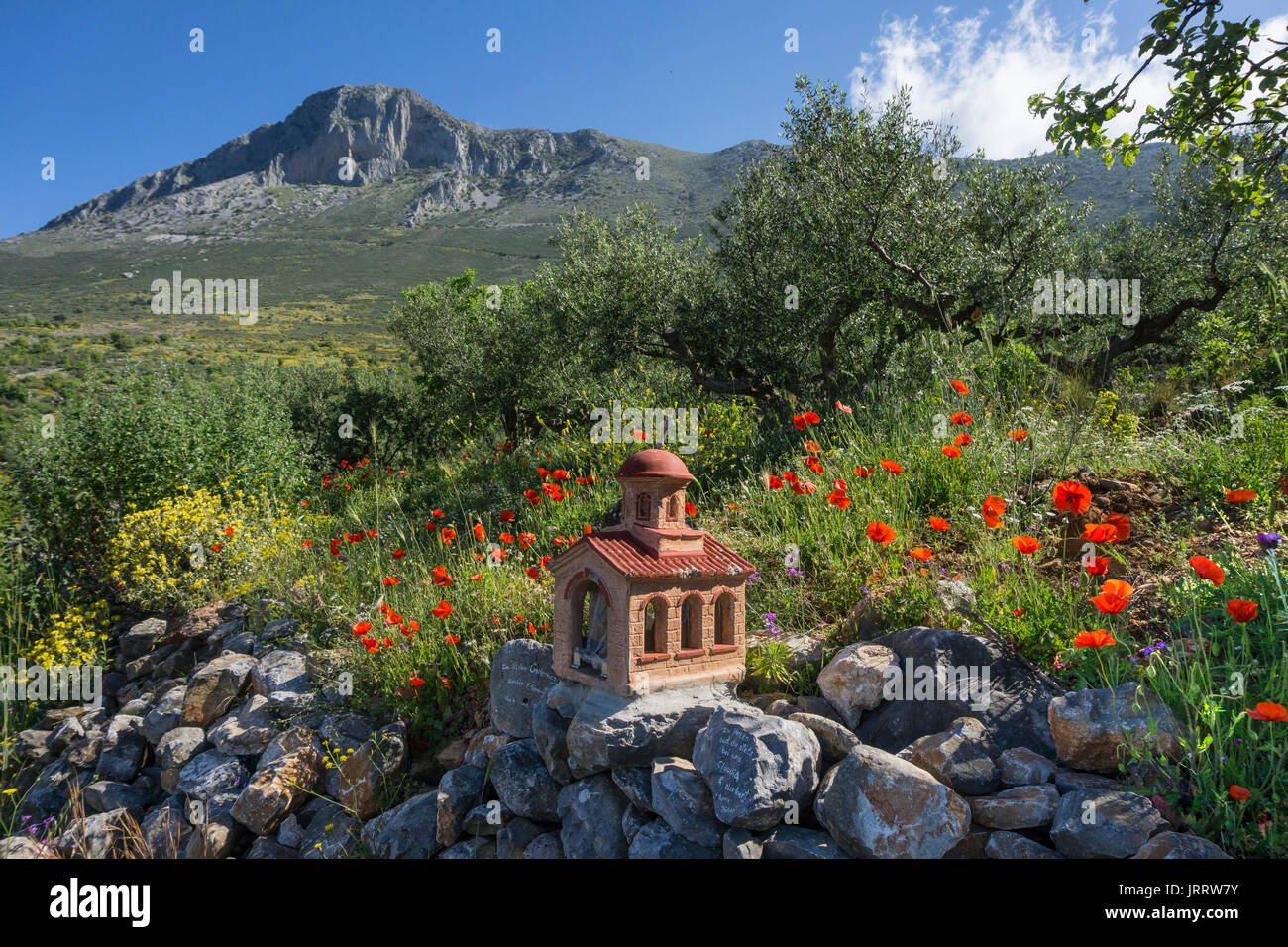 Santuario sul ciglio della strada e la molla di fiori selvatici tra gli ulivi vicino a Agios Nikon nel Mani, Messinia, il sud della Grecia Foto Stock