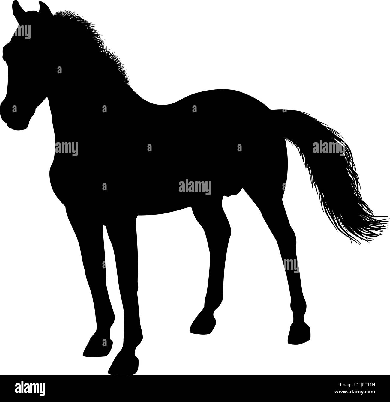 Silhouette di un cavallo permanente Illustrazione Vettoriale