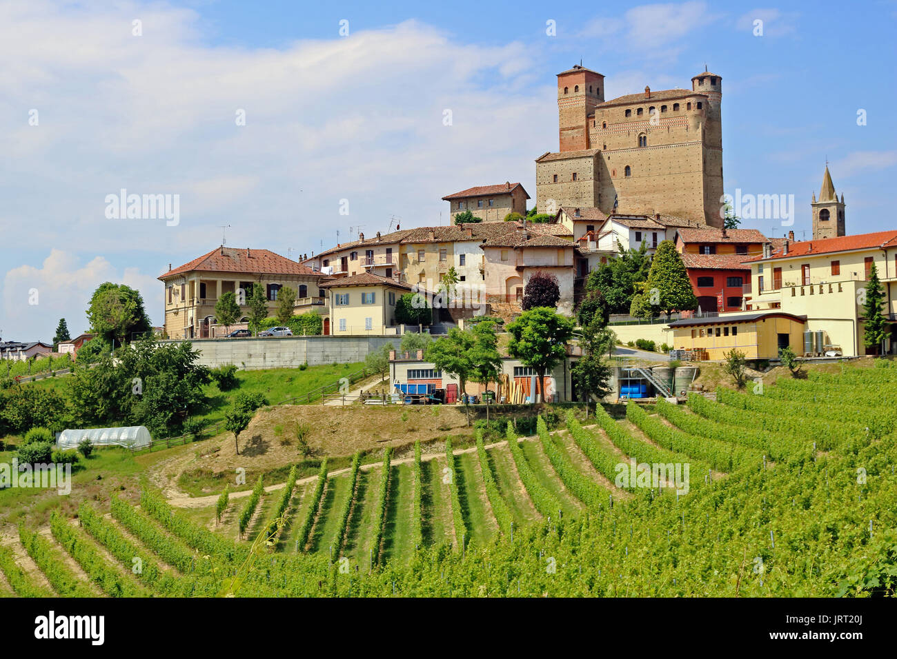 Castello di Serralunga d'Alba,Piemonte,Italia Foto Stock