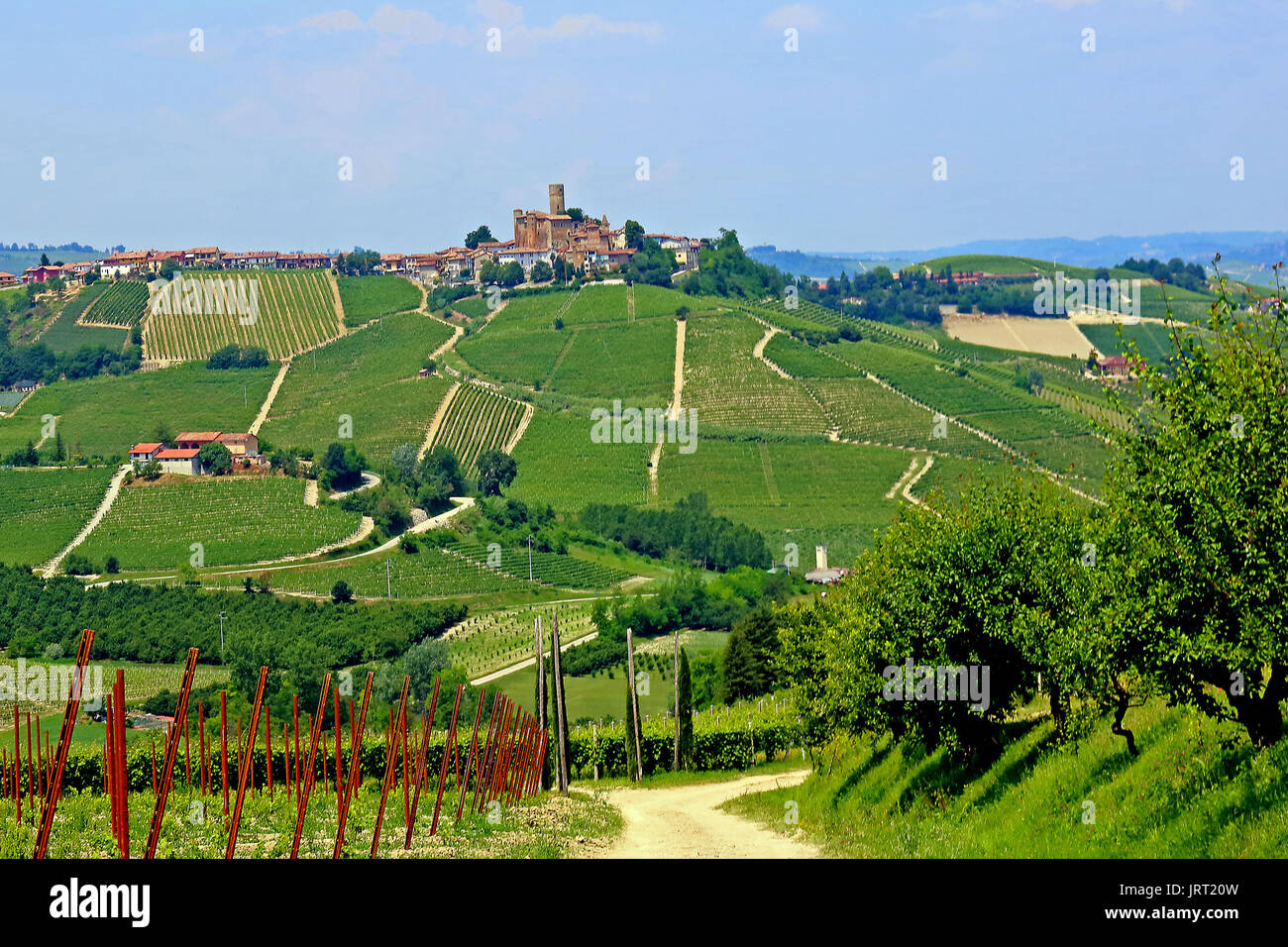 Serralunga d'Alba e Castello,Piemonte,Italia Foto Stock