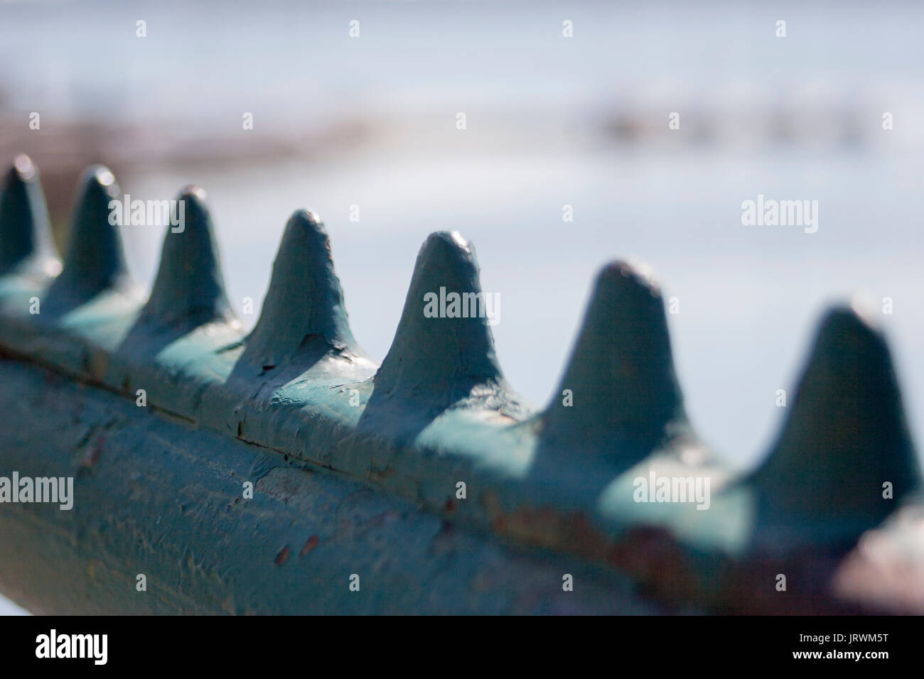 Primo piano delle punte appuntite su una vecchia recinzione in ferro battuto Foto Stock