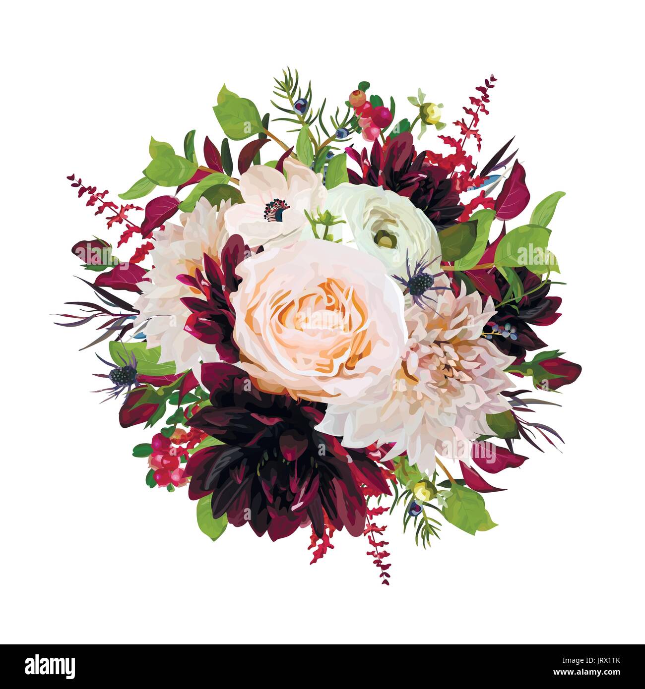Fiore ghirlanda rotonda bouquet di rose rosa fiori di borgogna Dahlia Anemone Astilbe rosso, Agonis foglie verde mix di erbe. Autunno alla moda vettore bouquet illus Illustrazione Vettoriale