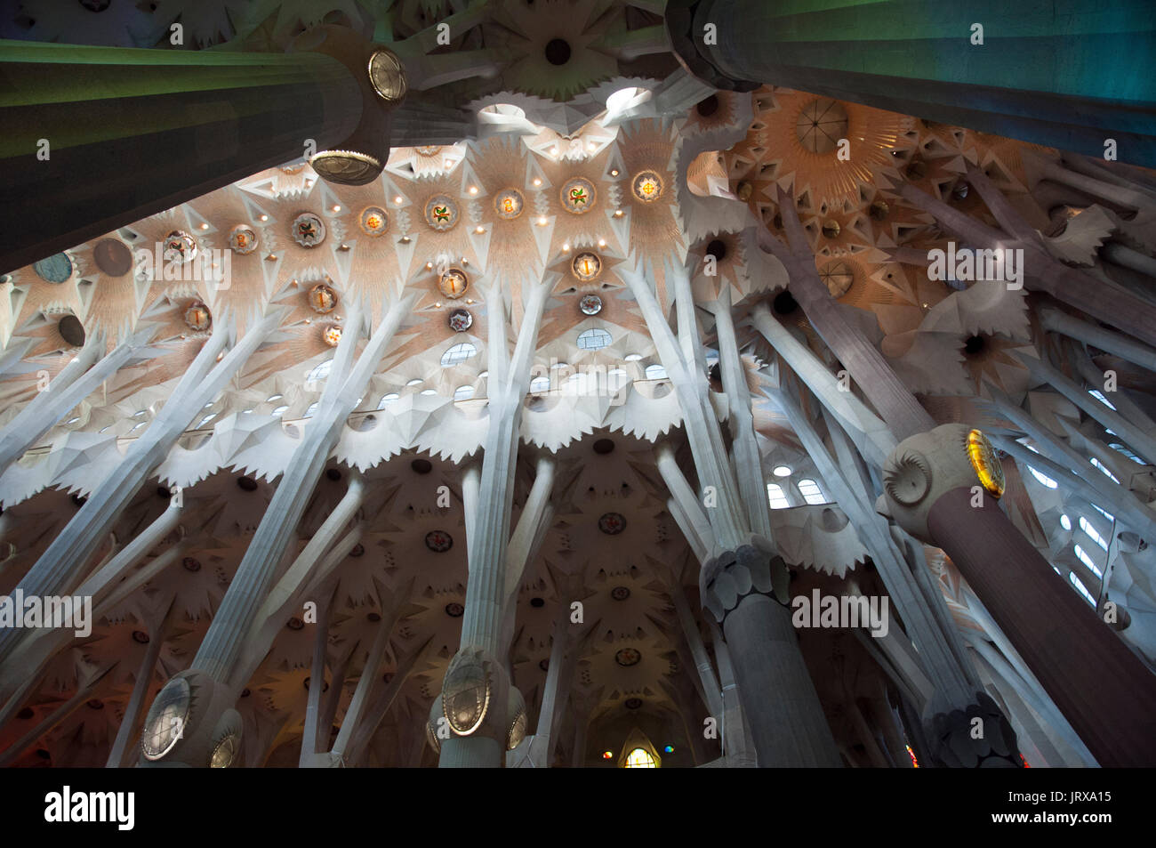 Vista guardando verso il soffitto in la Sagrada Familia a Barcellona Spagna Foto Stock