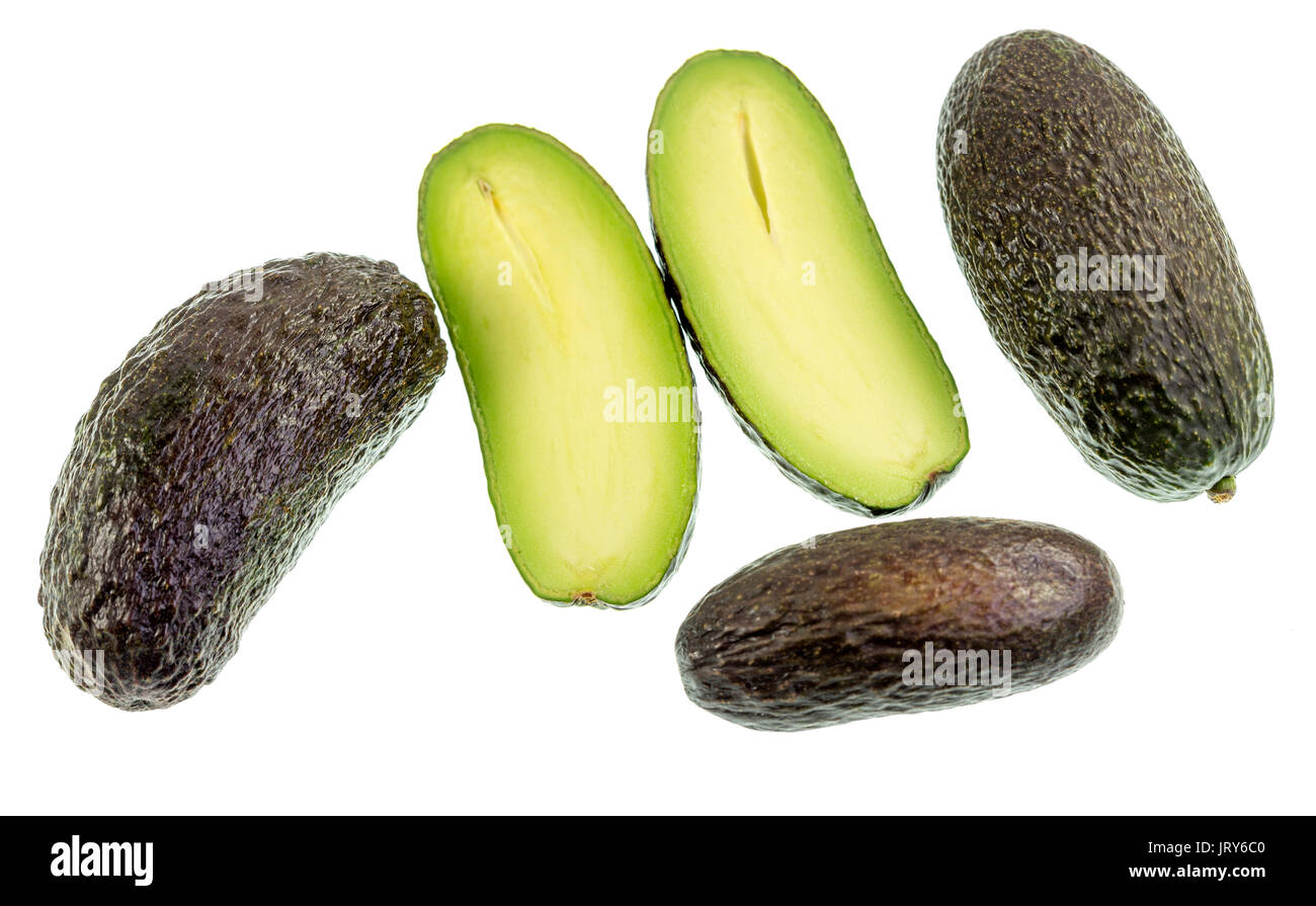 Seedless avocado, Persea americana, è un verde spellate, corpo carnoso frutta con una forma allungata e senza semi. Foto Stock