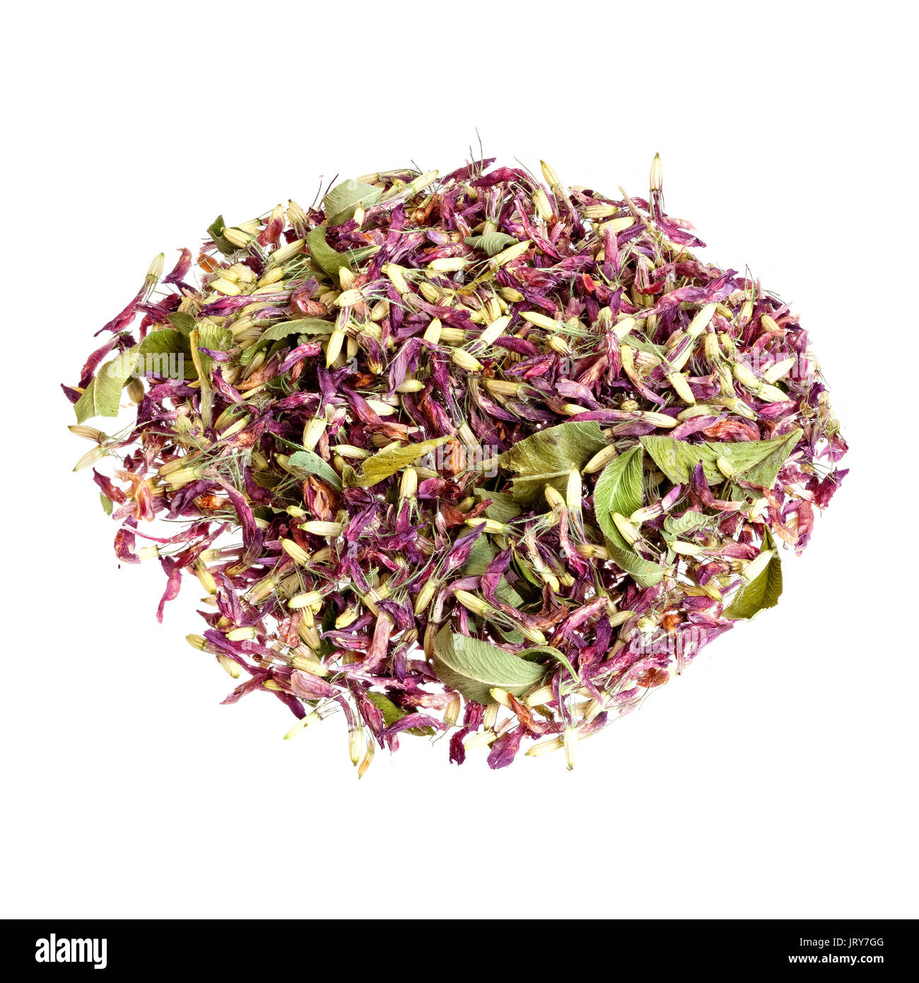 Il tè di trifoglio isolate su un bianco. Foto Stock