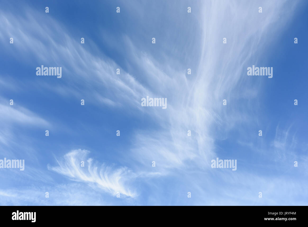 White cirrus nuvole contro un cielo blu su una bella giornata d'estate. Foto Stock
