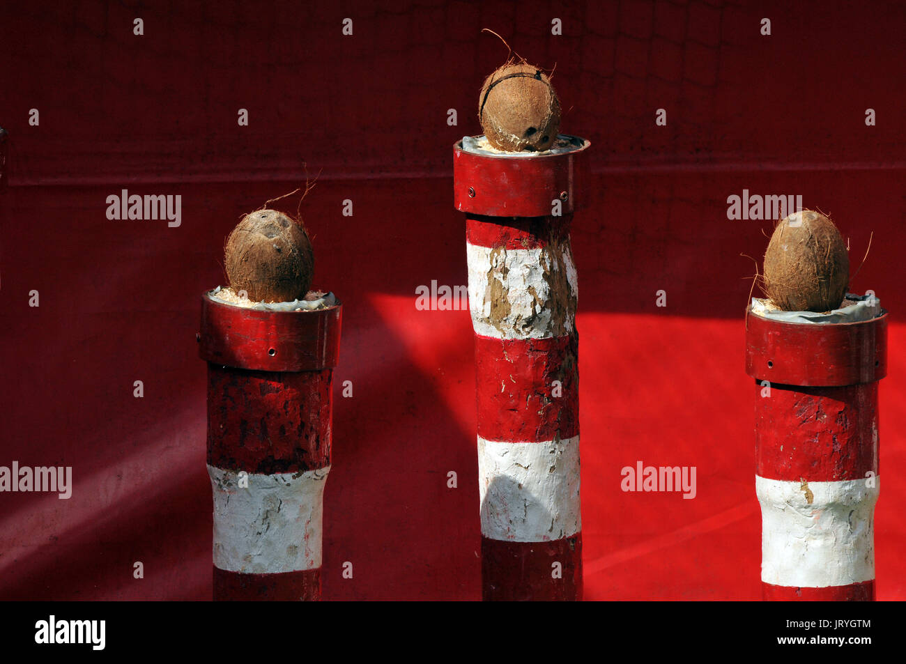 Tre noci di cocco sulla sommità del rosso ans bianca a strisce barbieri poli ad un luna park a un timido di noce di cocco in stallo Foto Stock