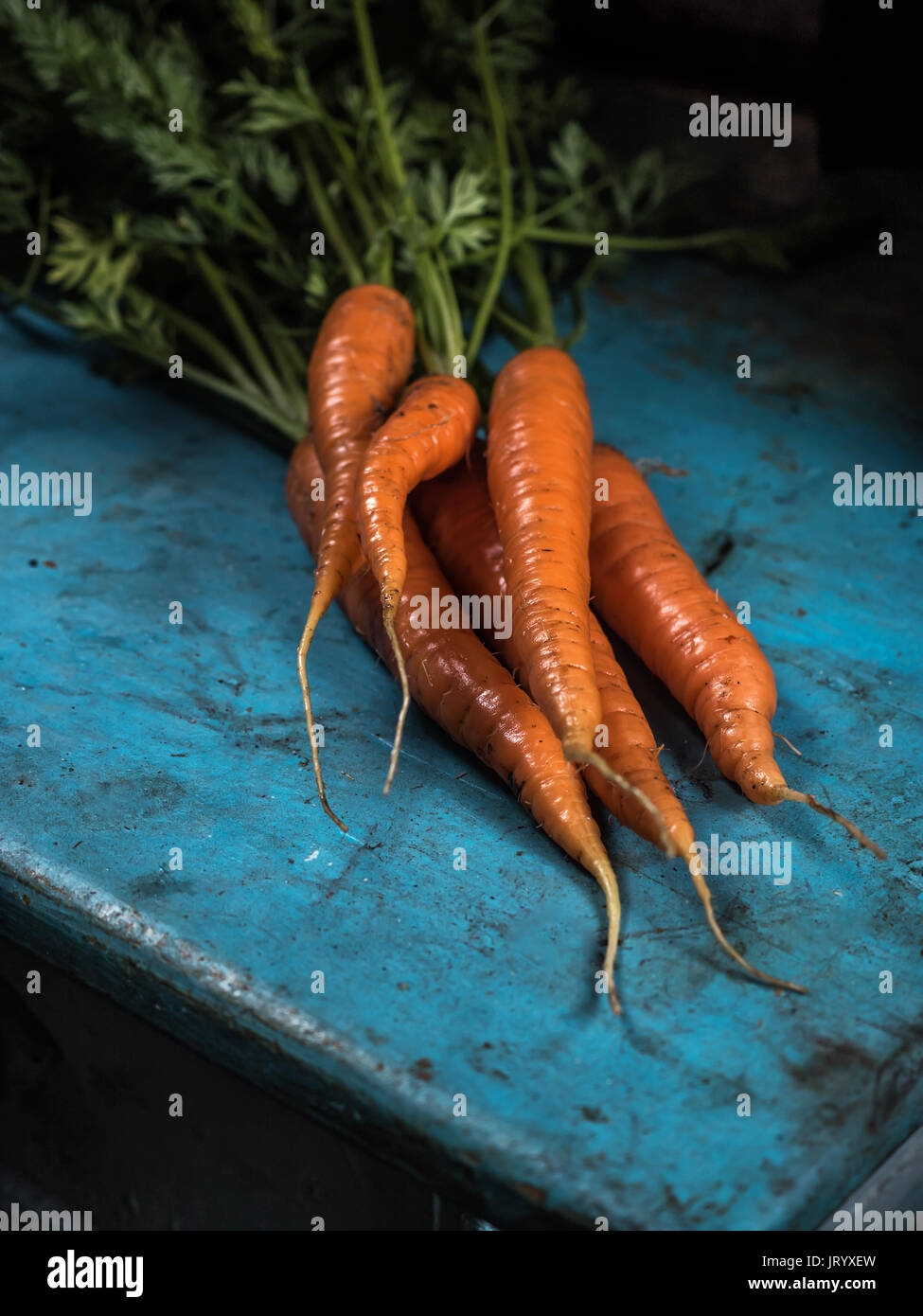 Carote mazzetto freschezza harvest carotene antiossidante della vitamina per ricette Foto Stock