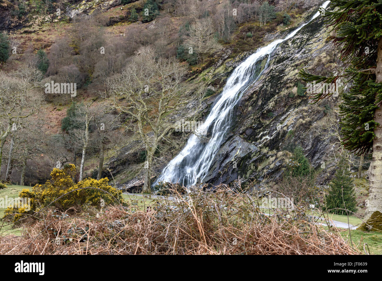 Cascata di Wicklow in Repubblica di Irlanda Foto Stock