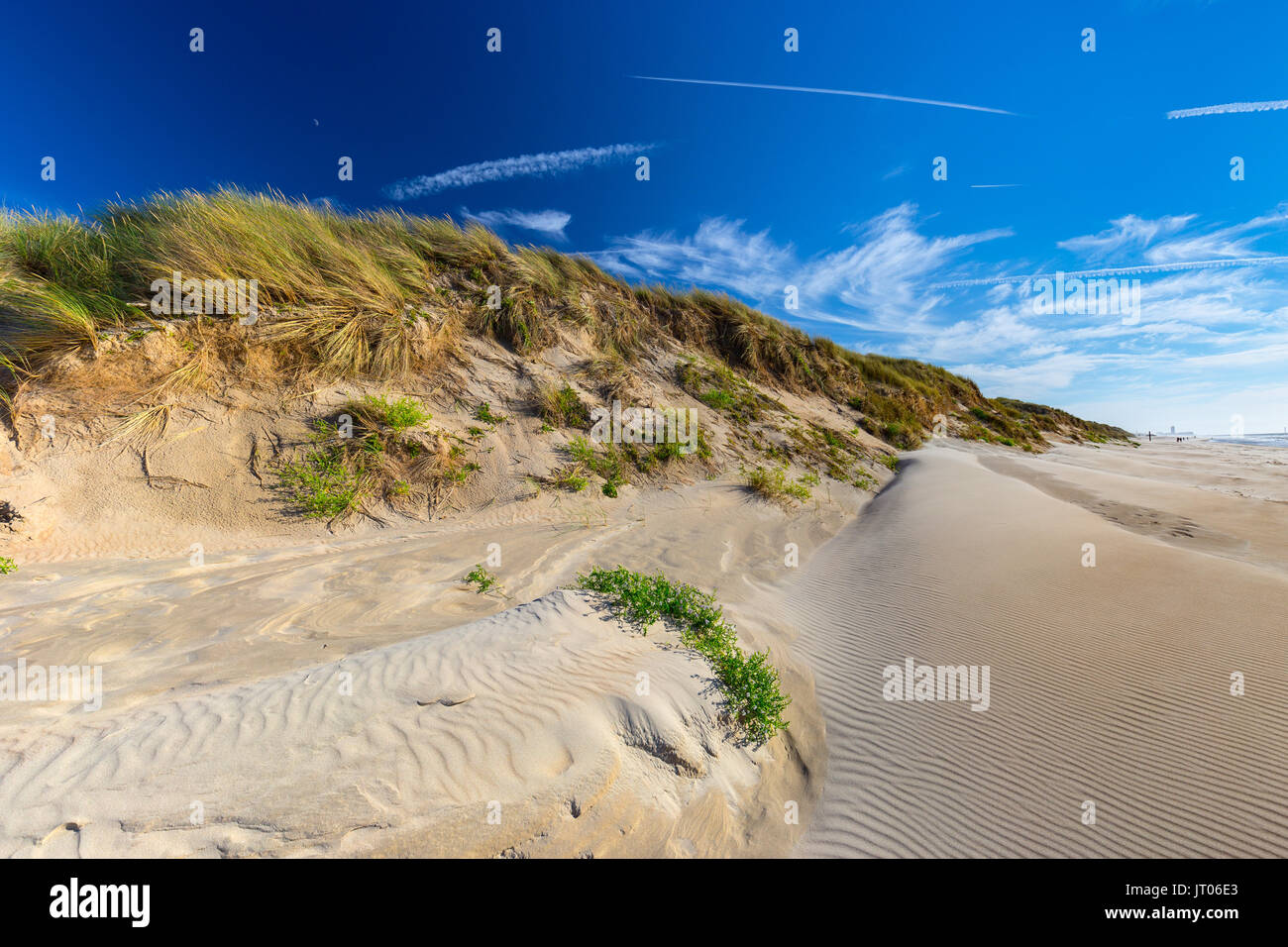 Mare del Nord le dune di sabbia in De Haan, Belgio al tramonto Foto Stock