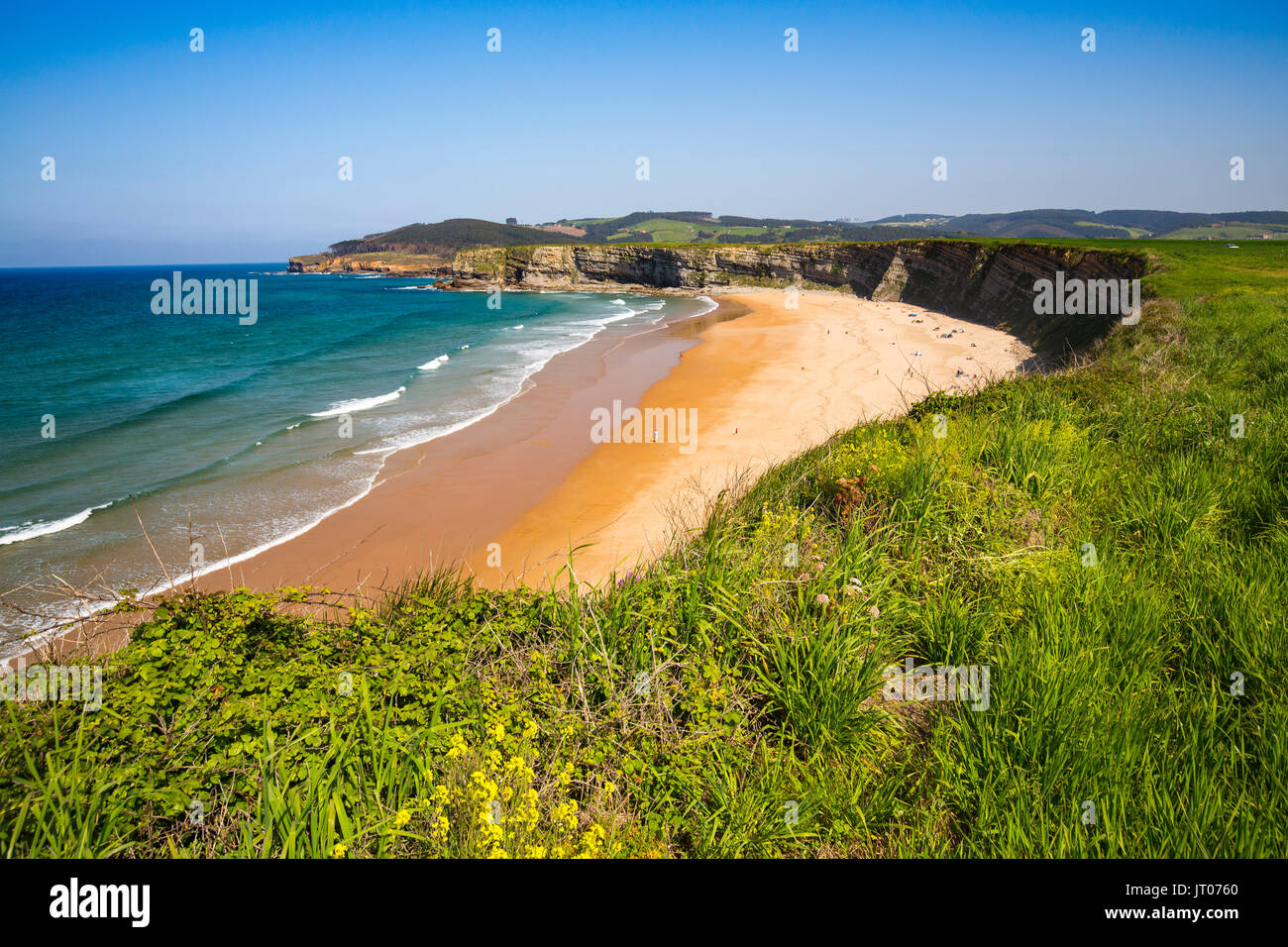 Prato di erba verde e fiori. A Langre beach, Ribamontan al Mar, Trasmiera costa. Mare Cantabrico. Cantabria spagna. Europa Foto Stock