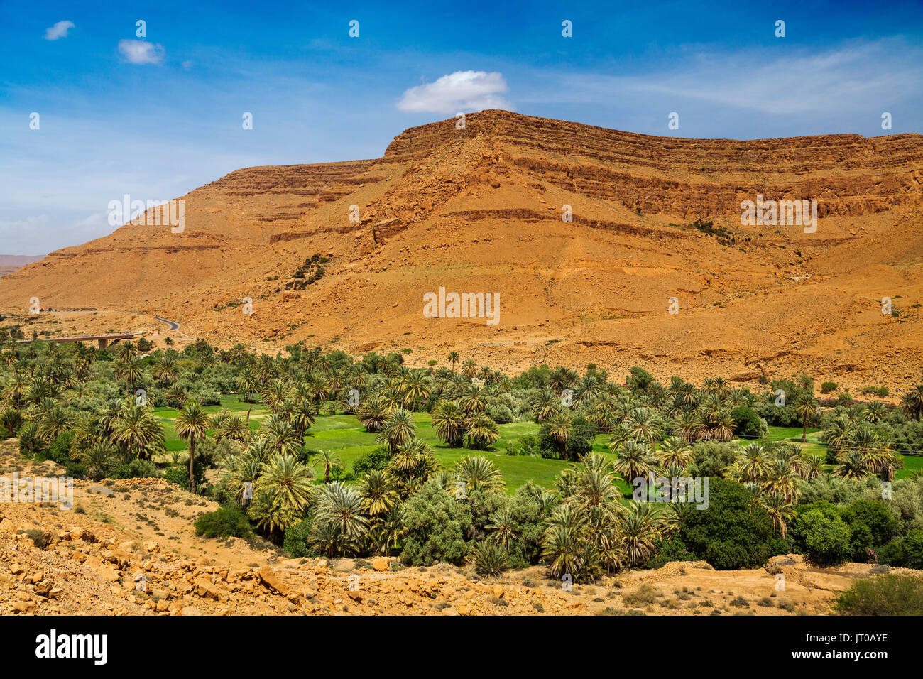 L'agricoltura. Oasi di palme Ziz Valley, Ziz fiume. Regione Tafilalet. Il Marocco, Maghreb Nord Africa Foto Stock