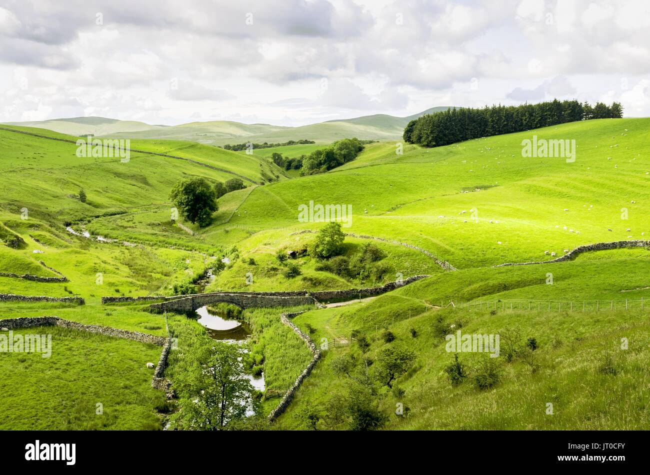 Piccolo ponte packhorse postare un flusso in Smardale. Foto Stock