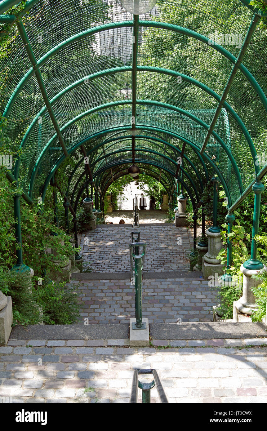 Park de Belleville, Parigi Francia, lunga scalinata lato collinare, con arcate pergolato e fitta piantagione, quasi esattamente sulla linea di rueVilin, su Foto Stock