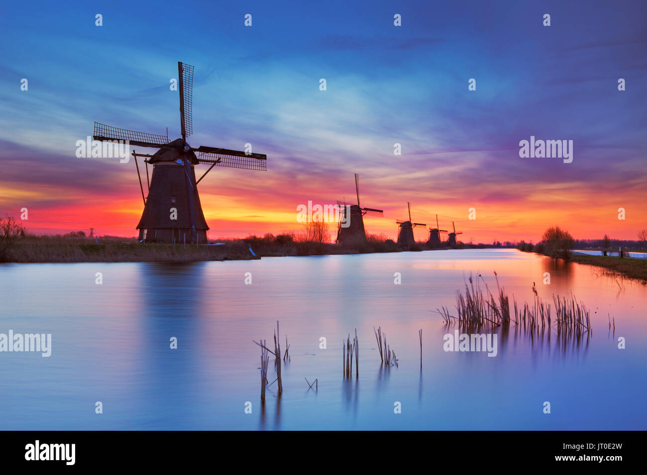 Tradizionali mulini a vento olandese con un cielo colorato prima del sorgere del sole. Fotografato alla famosa Kinderdijk. Foto Stock