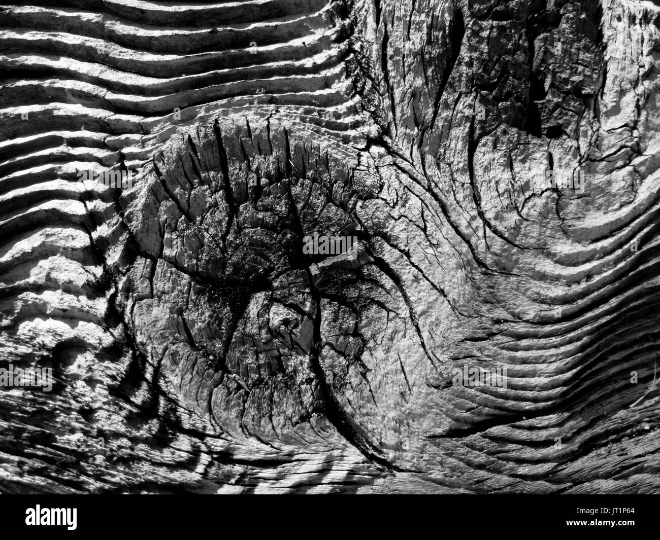 Profondamente contrastato con un sacco di carattere. Foto Stock
