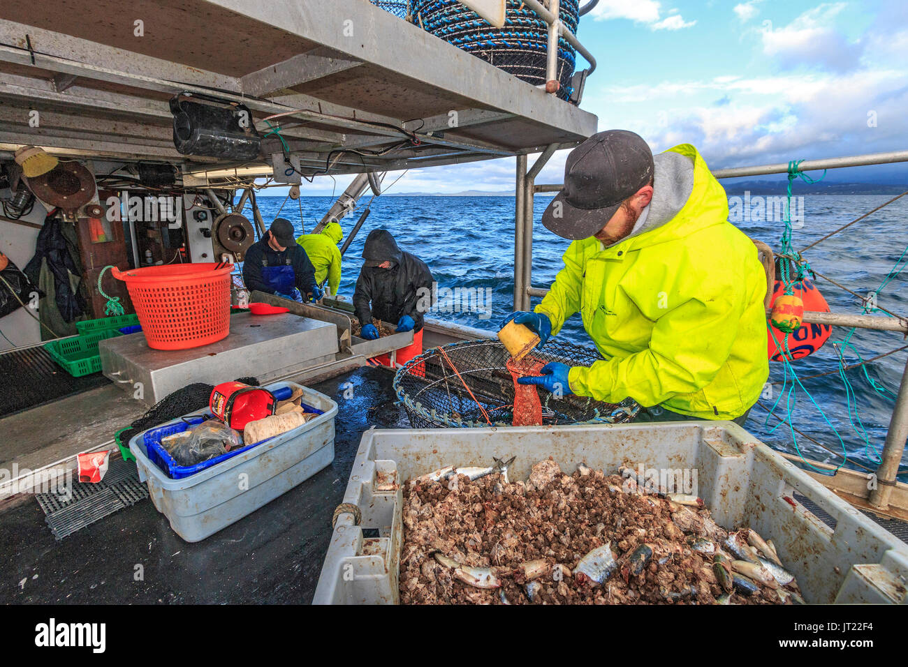 La pesca commerciale barca Nordic Rand off Isola di Vancouver, BC, Canada, la pesca di gamberetti (come i gamberi ma più grande). Foto Stock