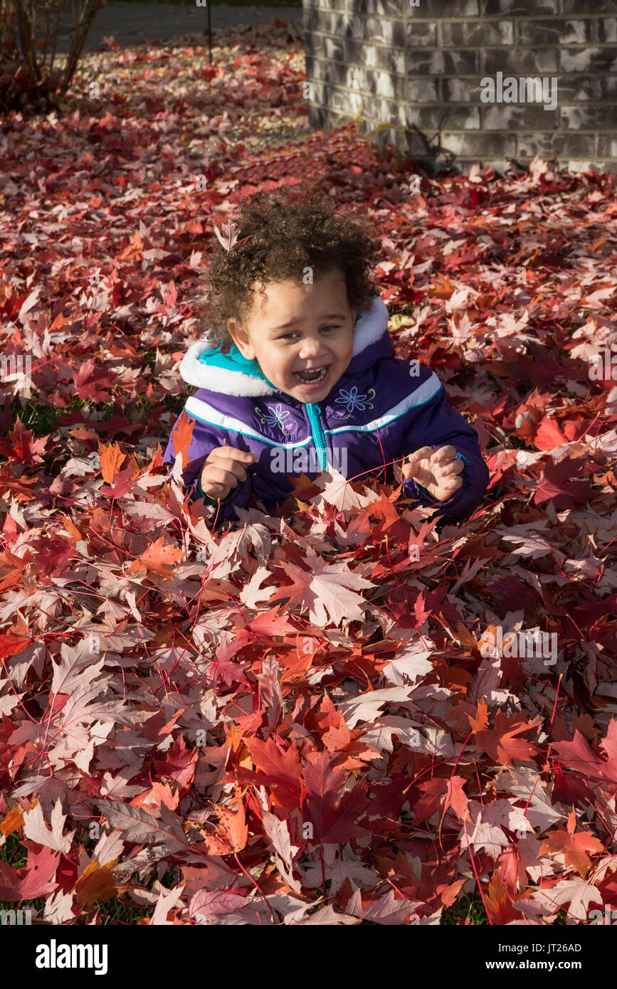 Vadnais Heights, Minnesota. Due anni di felice bi-razziale bambino che gioca in una pila di cadono le foglie in autunno. Foto Stock