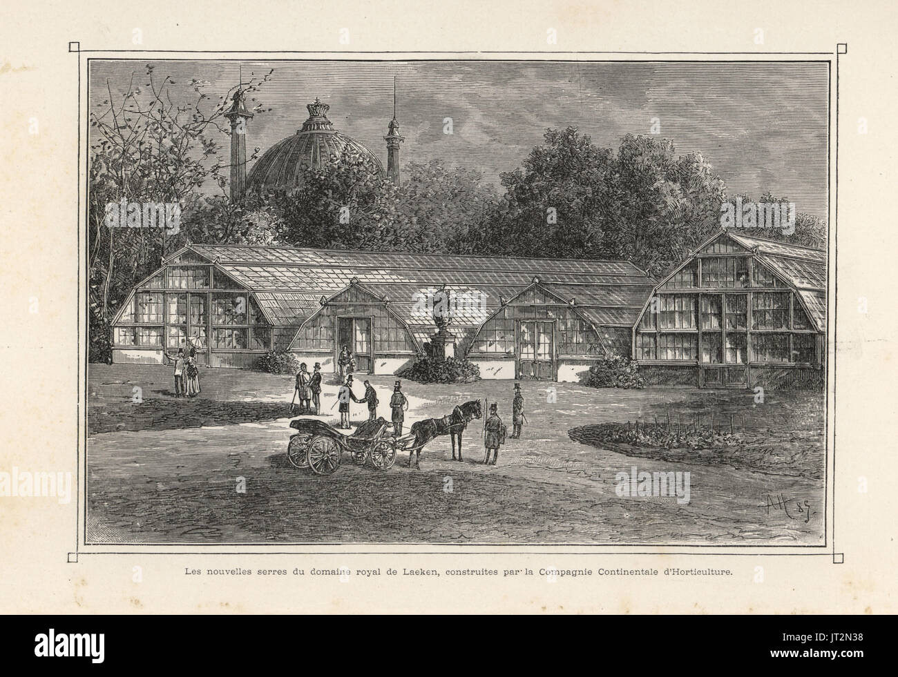 Le nuove serre in giardini reali a Laken, Bruxelles, costruito dalla Compagnie Continentale d'orticoltura. Xilografia da A.H. da Jean Linden's'Illustration horticole, Bruxelles, 1885. Foto Stock