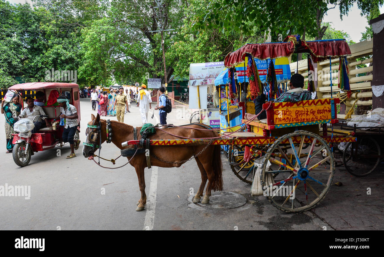 Bodh Gaya, India - Lug 9, 2015. Un cavallo carrello in attesa su strada di Bodhgaya,, India. Bodhgaya, (Bodh Gaya) è il sito del Buddha illuminismo e th Foto Stock