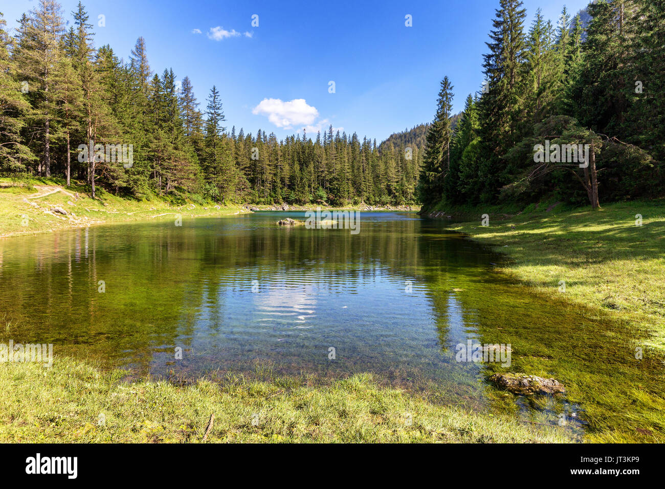 Gruner vedere - bel verde lago con acqua cristallina Foto Stock