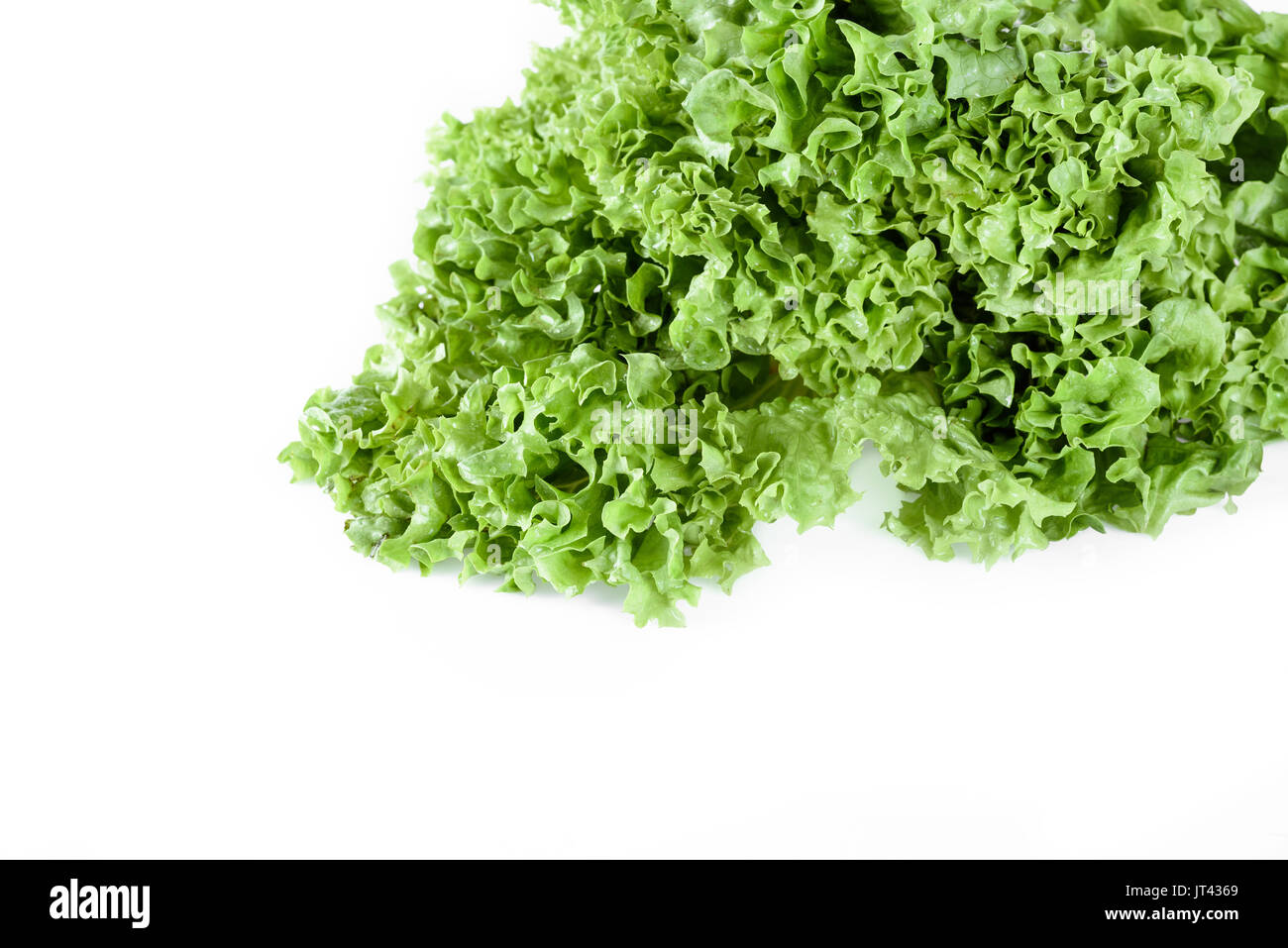 Close up di verde insalata di lattuga lascia isolato su bianco, vegetali frondosi concept Foto Stock