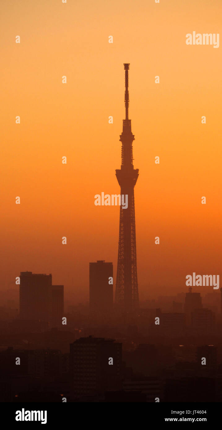 Silhouette di Tokyo sky tree edificio e paesaggio città nel tramonto di sera. Foto Stock