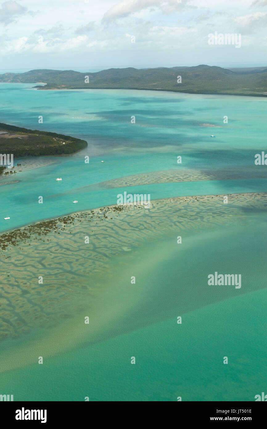 Lo stretto di Torres mangrovie di iniziare a stabilire su mudbank Foto Stock