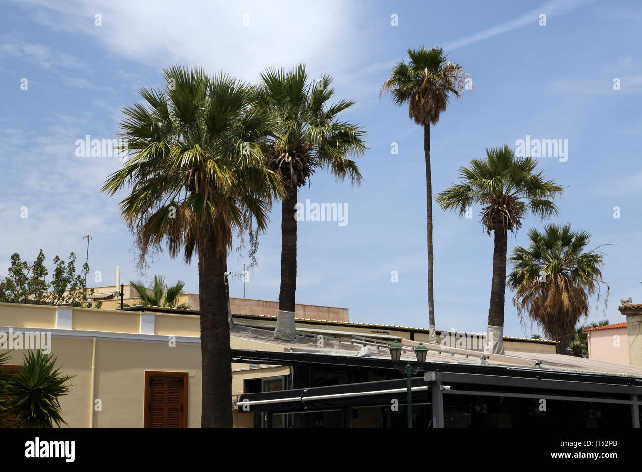 Lavrio Attica Grecia Aqua taverna Greca con palme sul tetto Foto Stock