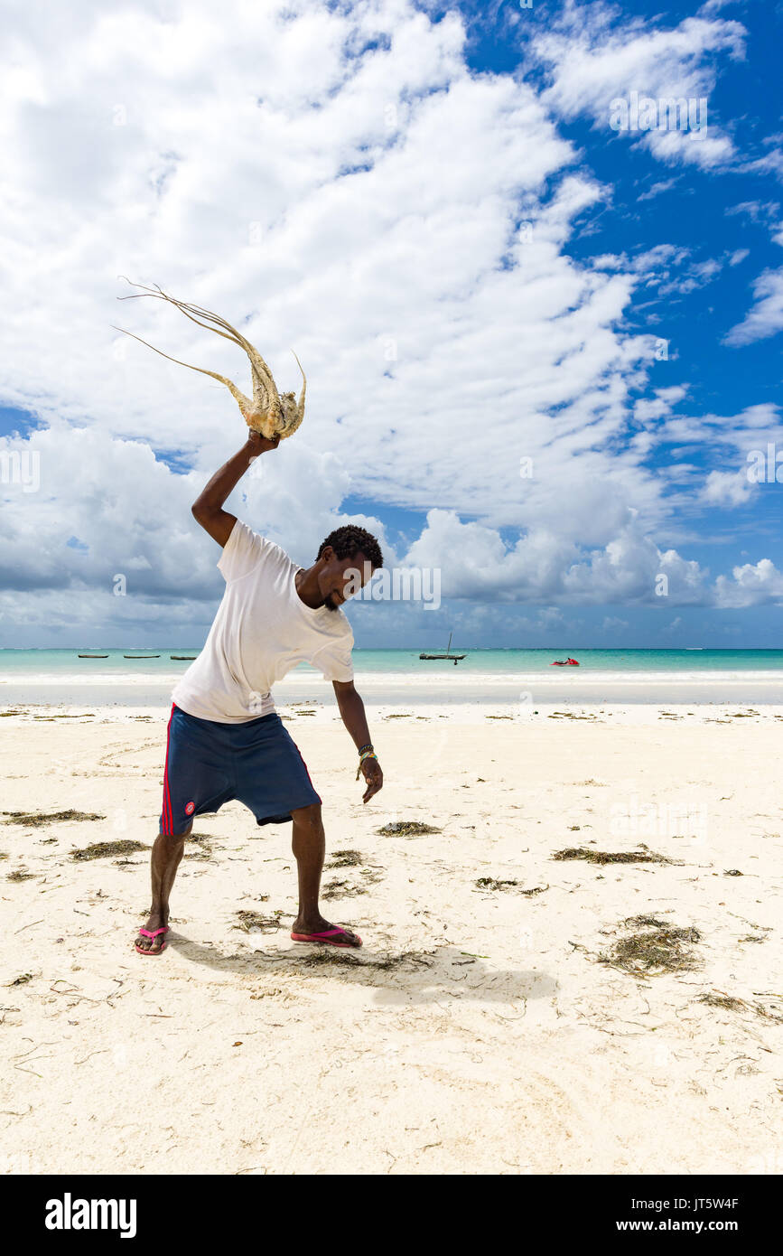 Fisherman tenderises e prepara fresco polpo catturato da lanciarla contro la sabbia della spiaggia, Diani, Kenya Foto Stock