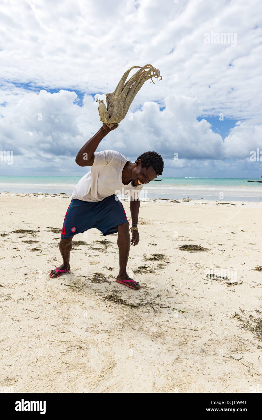 Fisherman tenderises e prepara fresco polpo catturato da lanciarla contro la sabbia della spiaggia, Diani, Kenya Foto Stock