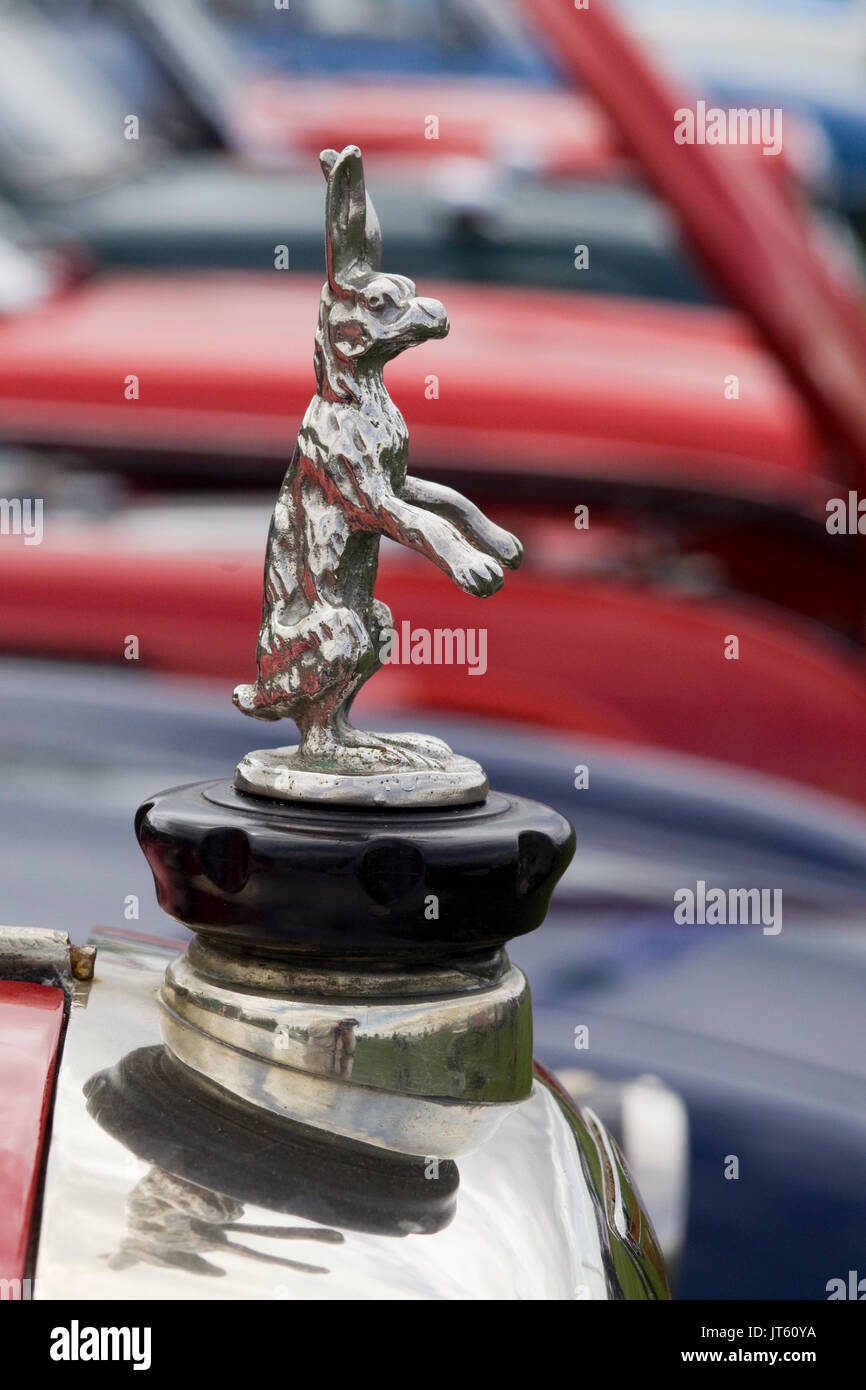 Chrome coniglio ornamento del cofano su un auto alvis Foto Stock