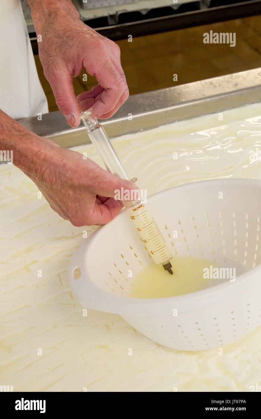 Formaggio dalla Francia settentrionale: produzione del formaggio Maroilles, pastorizzato di formaggi di fattoria. Preparazione di campioni di siero di latte per analisi Foto Stock