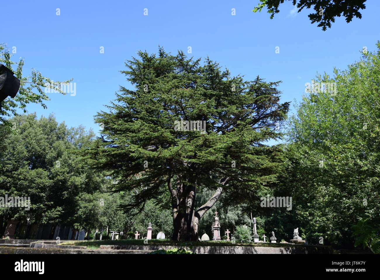 Il cimitero di Highgate West 2017 Foto Stock