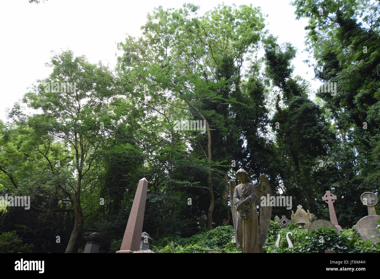 Il cimitero di Highgate West 2017 Foto Stock