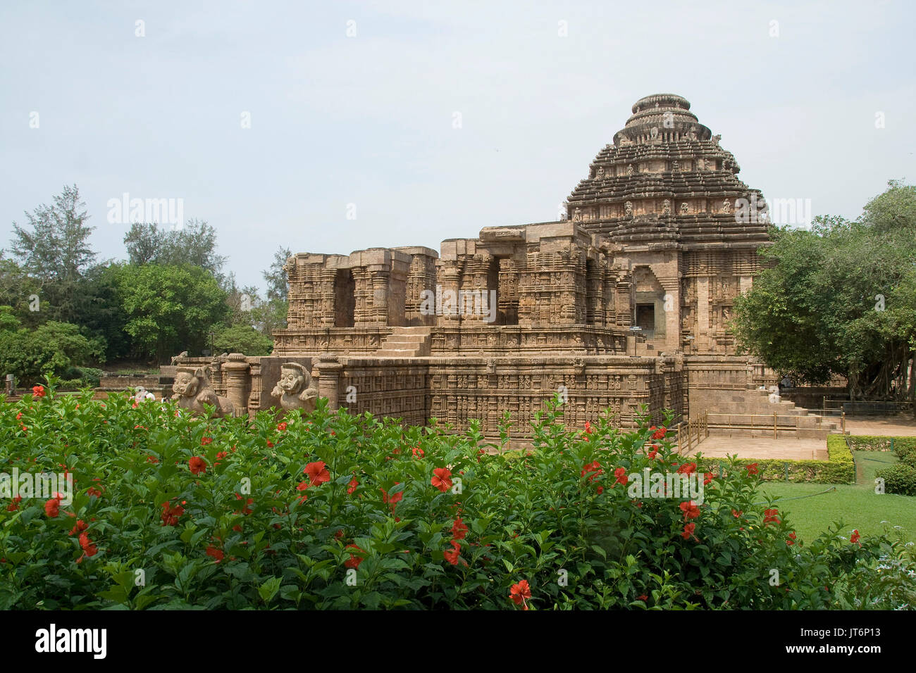 Sun tempio in mezzo alla natura a Konark, Orissa, India, Asia Foto Stock