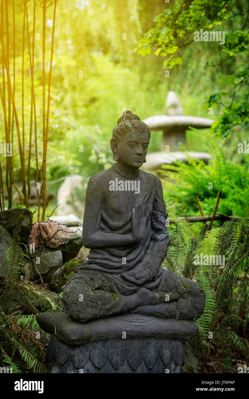 Asian statua del dio Buddha nella foresta Foto Stock