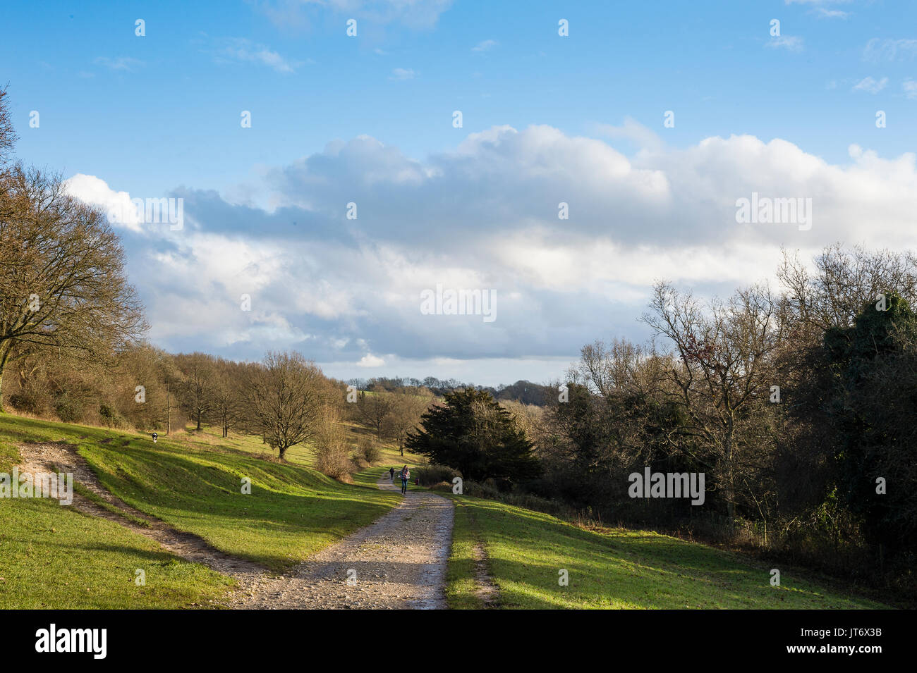 Comune Riddlesdown, Surrey, Regno Unito. Un bel pomeriggio di sole vede gli escursionisti e dogwalkers sulle vie del Riddlesdown comune. Foto Stock