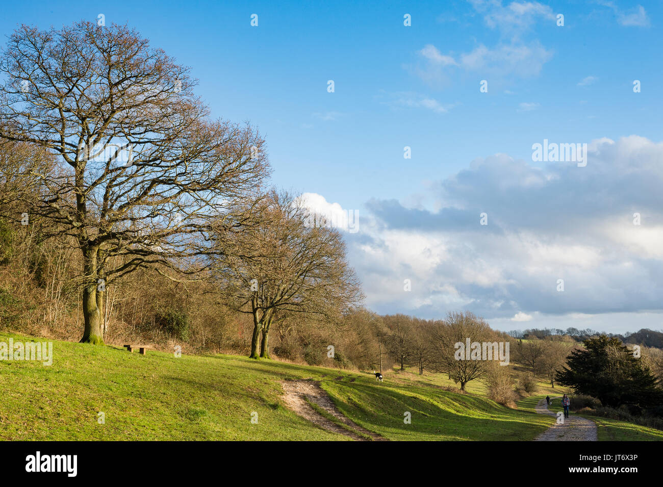 Comune Riddlesdown, Surrey, Regno Unito. Un bel pomeriggio di sole vede gli escursionisti e dogwalkers sulle vie del Riddlesdown comune. Foto Stock