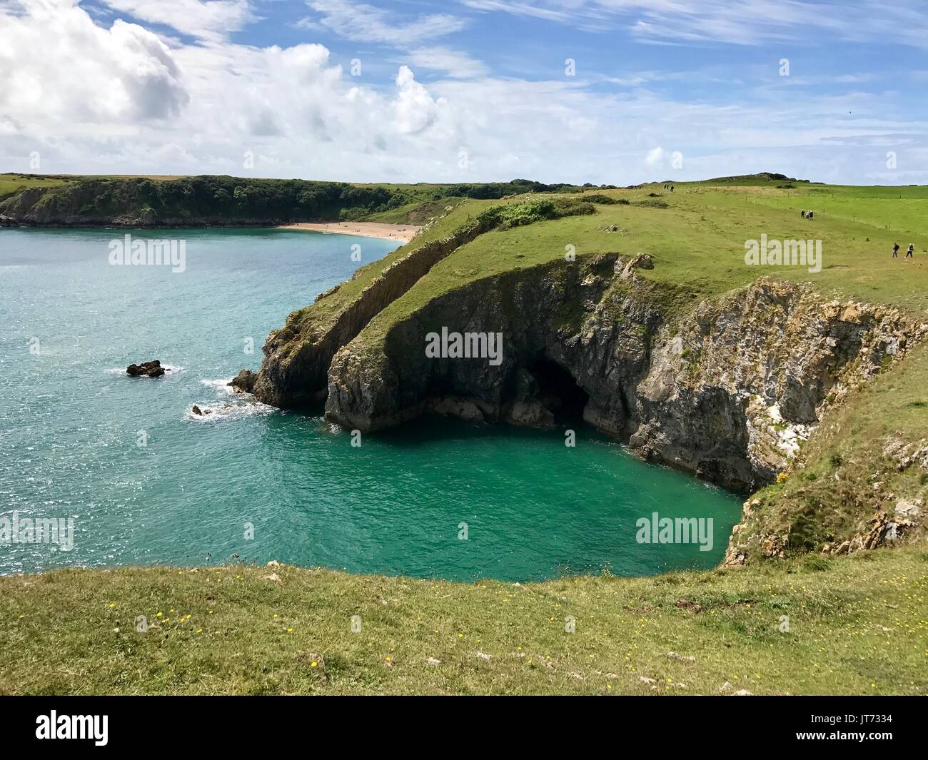 Costa sopra Barafundle Bay Beach in Galles Foto Stock