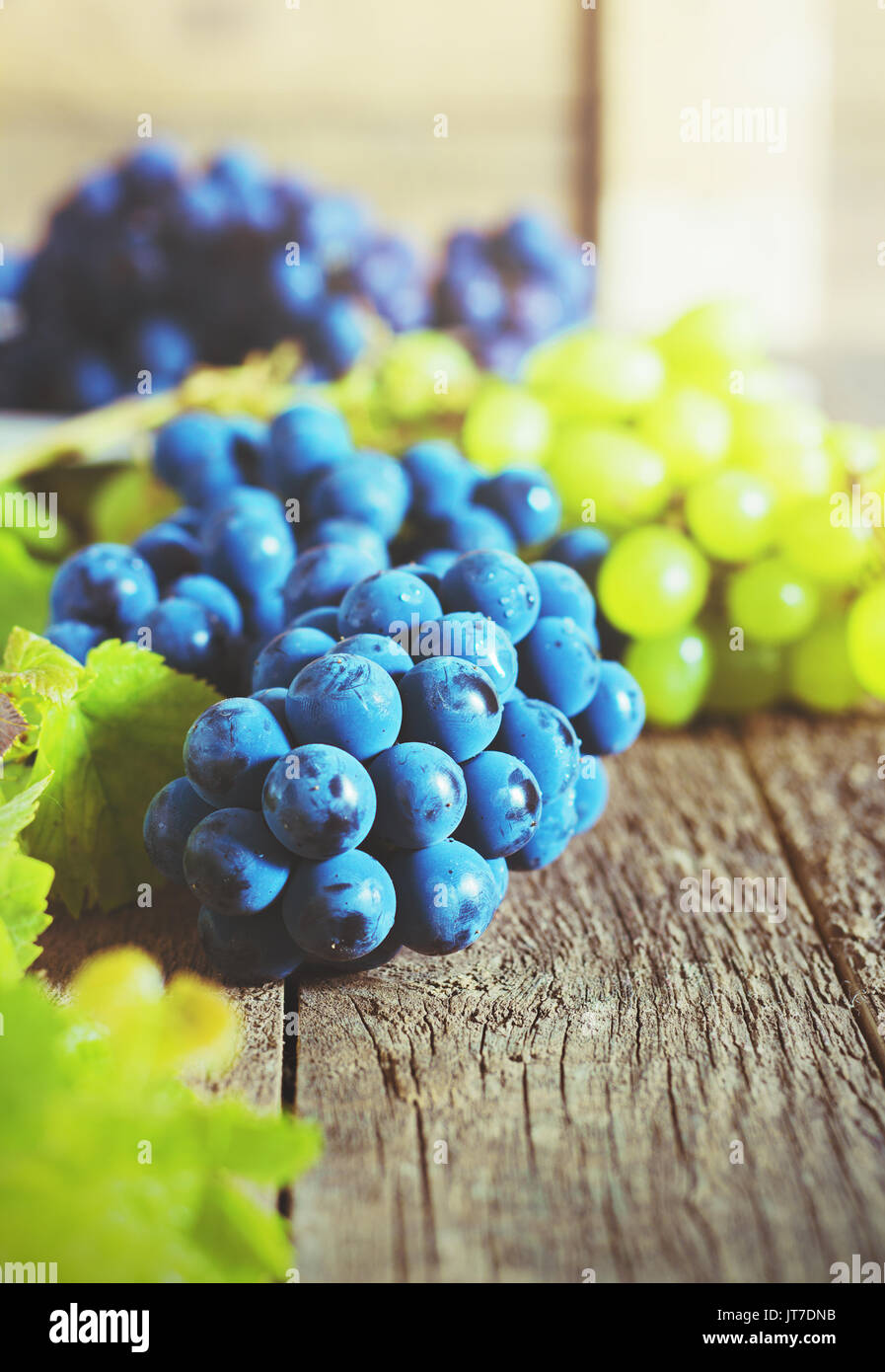 Il blu e il verde uva su uno sfondo di legno tonificante Foto Stock