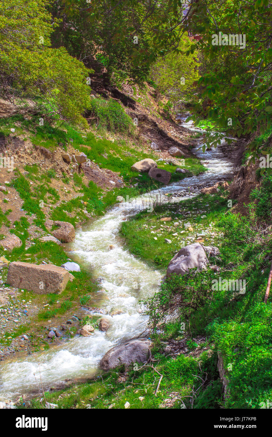 Paesaggio fluviale , Ordubad ,Nakhchivan ,l'Azerbaigian Foto Stock