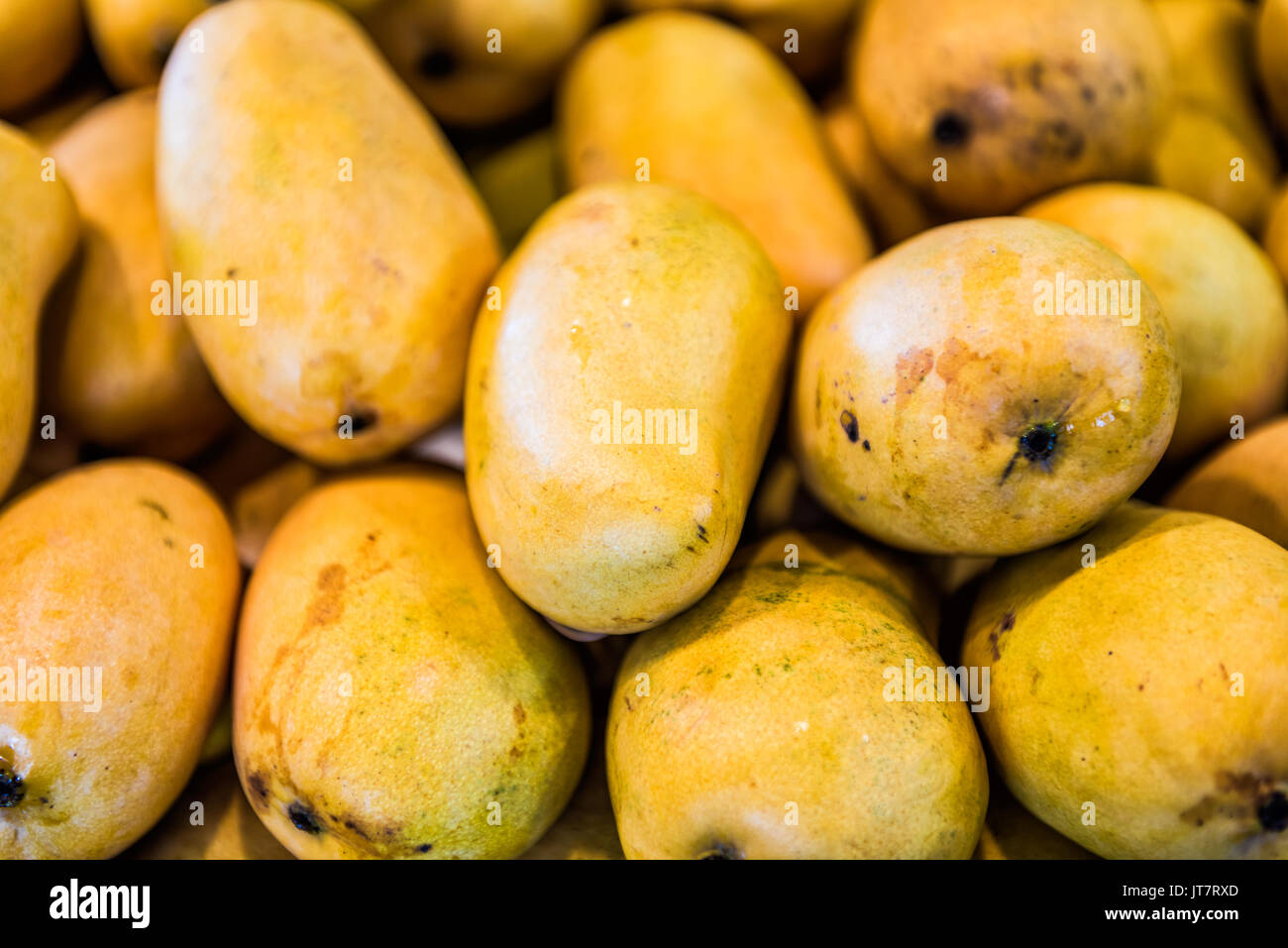Macro closeup di pelo di molti champagne manghi nel mercato agricolo Foto Stock