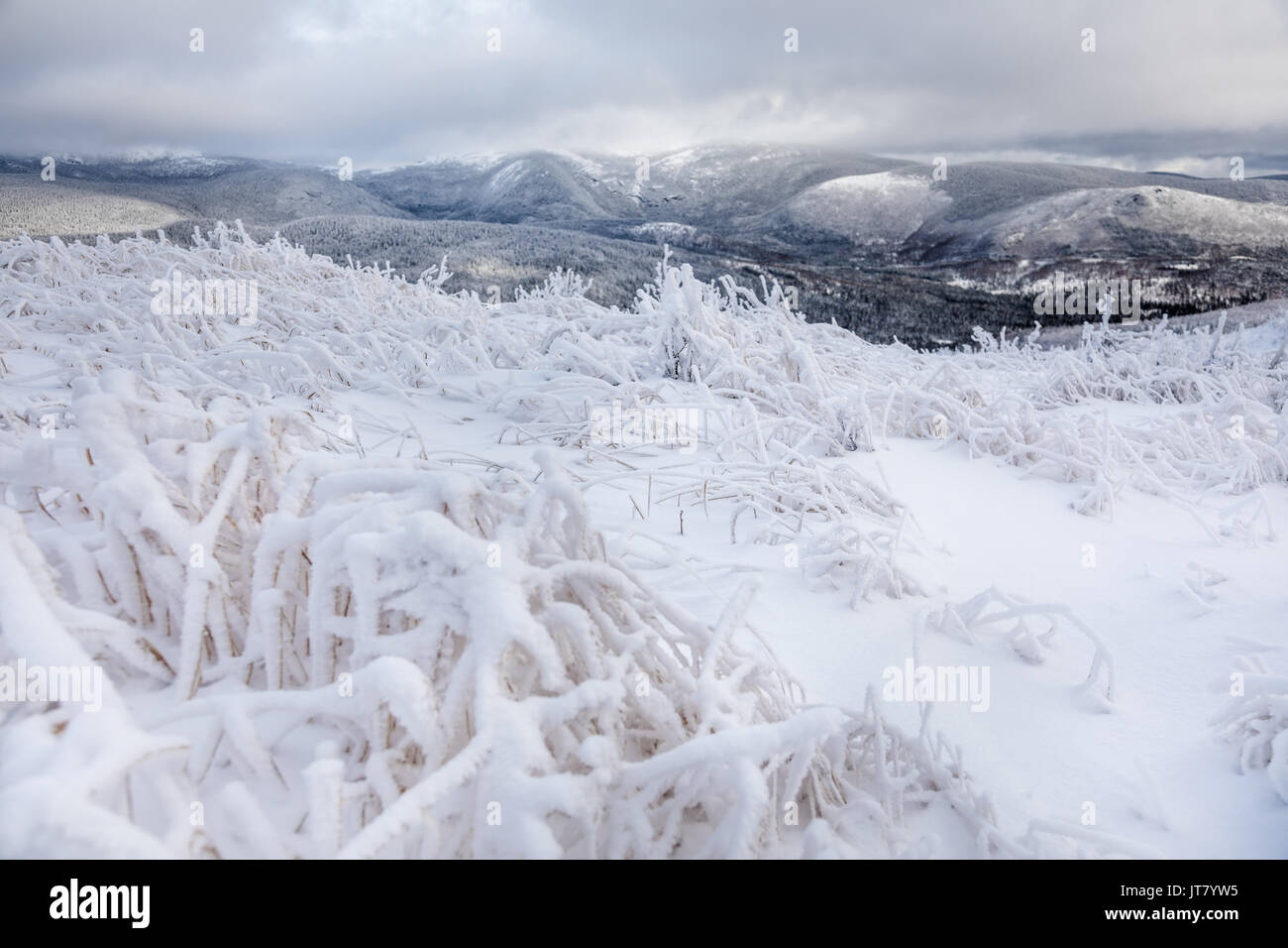 Incredibile paesaggio invernale dalla cima della montagna in Canada, Québec Foto Stock