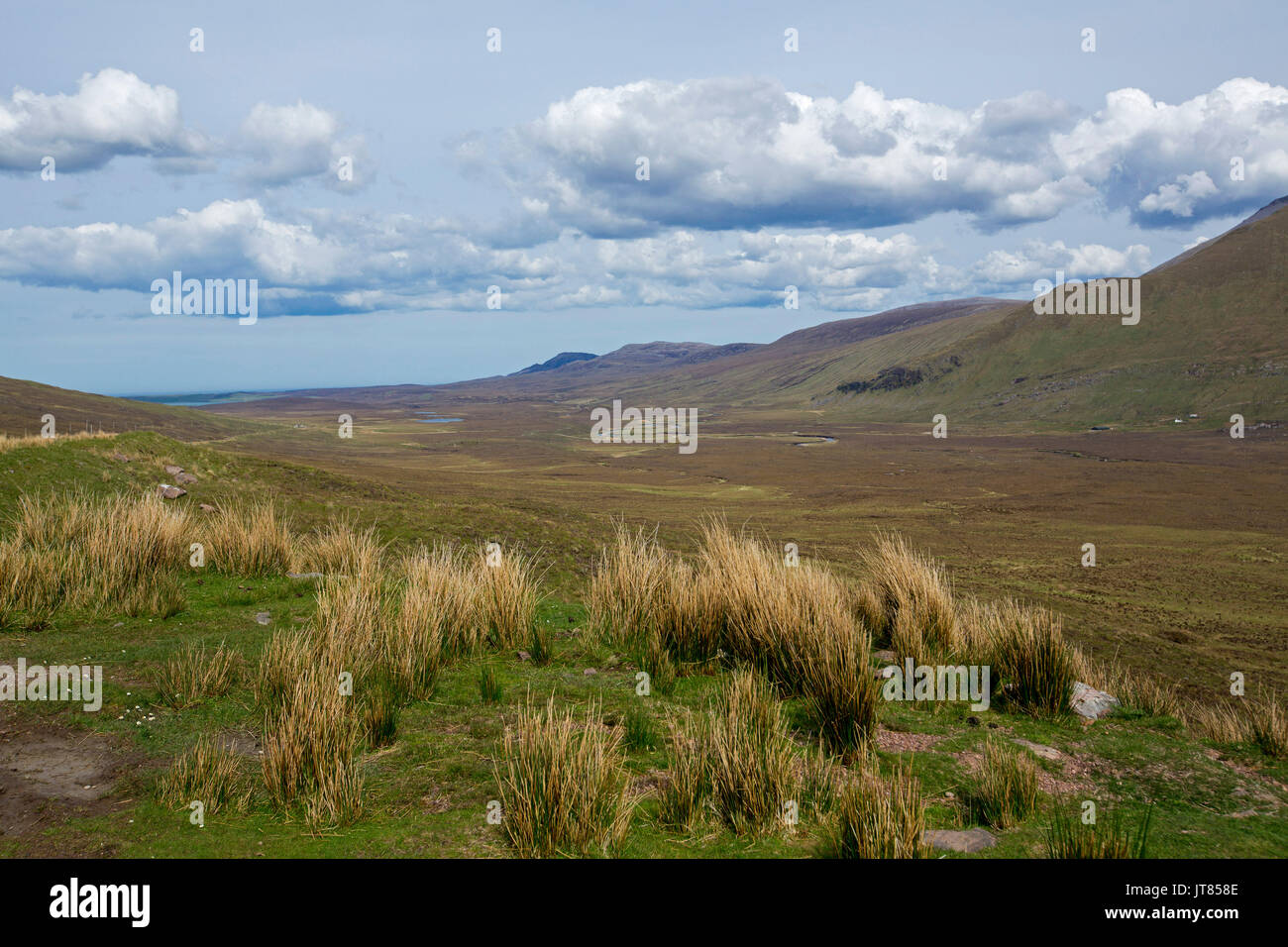 Vasto paesaggio nelle highlands scozzesi con brulla vallata fiancheggiata da golden di graminacee e di alta montagna vicino Kinlochbervie, Scozia Foto Stock